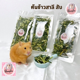 [Hamsterth] ต้นข้าวสาลี สับ ชิ้นเล็ก ไฟเบอร์ สำหรับสัตว์เลี้ยง อาหารเสริม อาหาร ข้าวสาลี