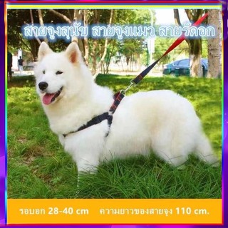 PP C11 สายจูงสุนัข สายจูงแมว สายรัดอก Dog Jeans Harness with leash สายจูงสัตว์เลี้ยง SHEN3S