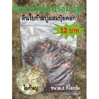 ดินผสมใบก้ามปู ผสมปุ๋ยคอก เนื้อดินแบบหยาบ หนัก 1 กิโล