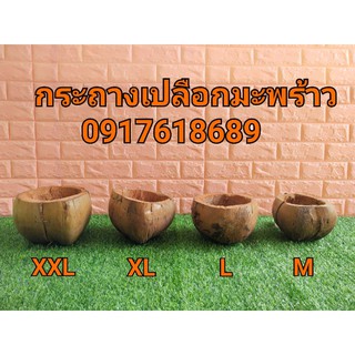 กระถางเปลือกมะพร้าว มะพร้าวครึ่งลูก มะพร้าวแขวน