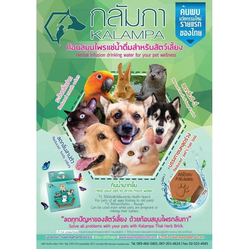 กลัมภา (ก้อนสมุนไพรเเช่น้ำดื่มสำหรับสัตว์เลี้ยง)