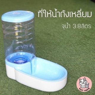 ที่ให้น้ำสัตว์เลี้ยงอัตโนมัติแบบถังเหลี่ยม สีฟ้า