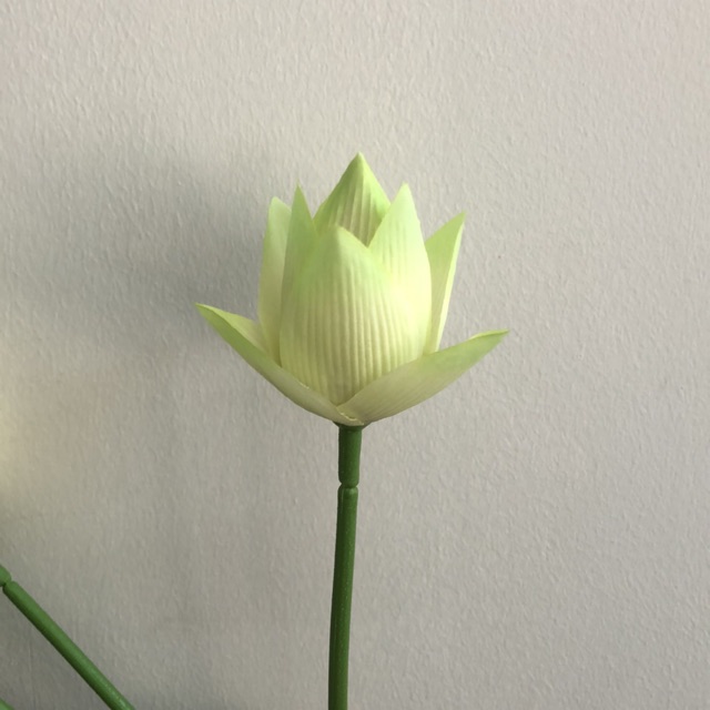 My Image 13