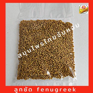 ลูกซัด Fenugreek ขนาด 100 กรัม