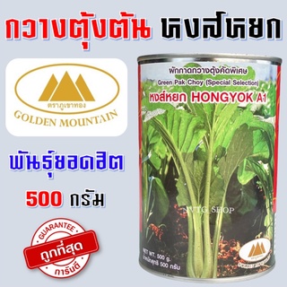 กวางตุ้ง หงส์หยก ขนาด 500 กรัม ต้นใหญ่ น้ำหนักดี หยก กวางตุ้งใบ เมล็ดพันธุ์กวางตุ้งหงส์หยก เมล็ดกวางตุ้งต้น