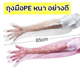 แหล่งขายและราคาถุงมืPE glove ยาวถึงหัวไหล่อย่างดี เหนียว ยืดหยุ่นสูง ถุงมือผสมเทียมอาจถูกใจคุณ