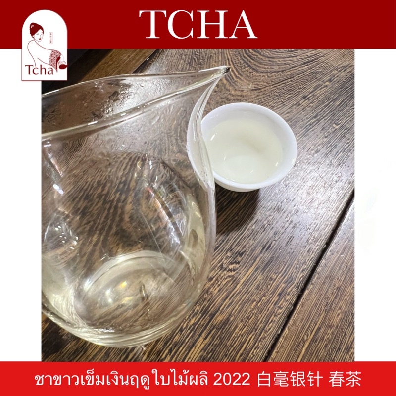 TCHA | ชาขาวเข็มเงินคุณภาพพรีเมียม ฤดูใบไม้ผลิ 2022 白毫银针 春茶 Premium Silver Needle White Tea Spring Season 2022 - รูปที่ 3