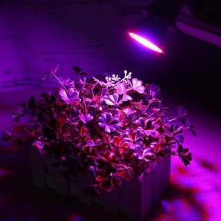 ไฟLED ไฟ Spotlight LED ไฟ Grow Light  60LED E27 ไฟปลุกต้นไม้ ไฟช่วยต้นไม้ตัวเร็ว