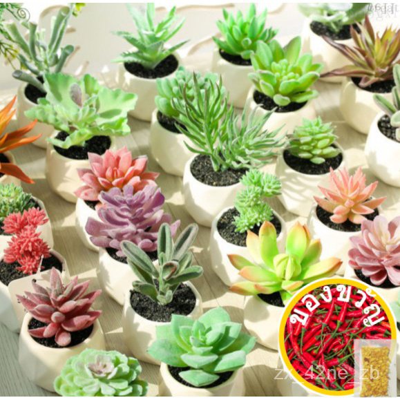 [SG SELLER] Artificial Succulent Plant Flower Pot Vase Mini Leaves Garden Home Table Decoration Office文胸/玫瑰/男装/园艺/花园/头饰/