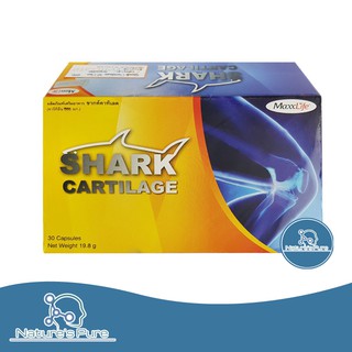 MaxxLife Shark Cartilage แม็กซ์ไลฟ์ ชากค์คาทิเลต 30 แคปซูล