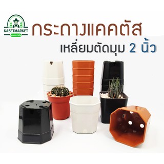 กระถางแคคตัส ปากกว้าง 2 นิ้ว ทรงสี่เหลี่ยมตัดมุม