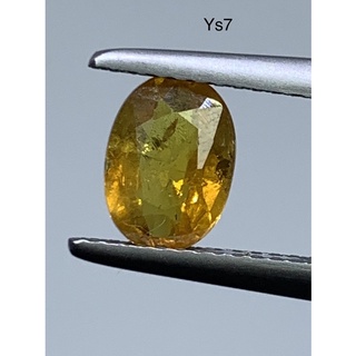 Ys7 บุษราคัมบางกะจะ เผาเก่า yellow sapphire น้ำหนัก 1.37 กะรัต ขนาด 7.9x5.7x3.4 มม. บางกะจะเผาเก่า