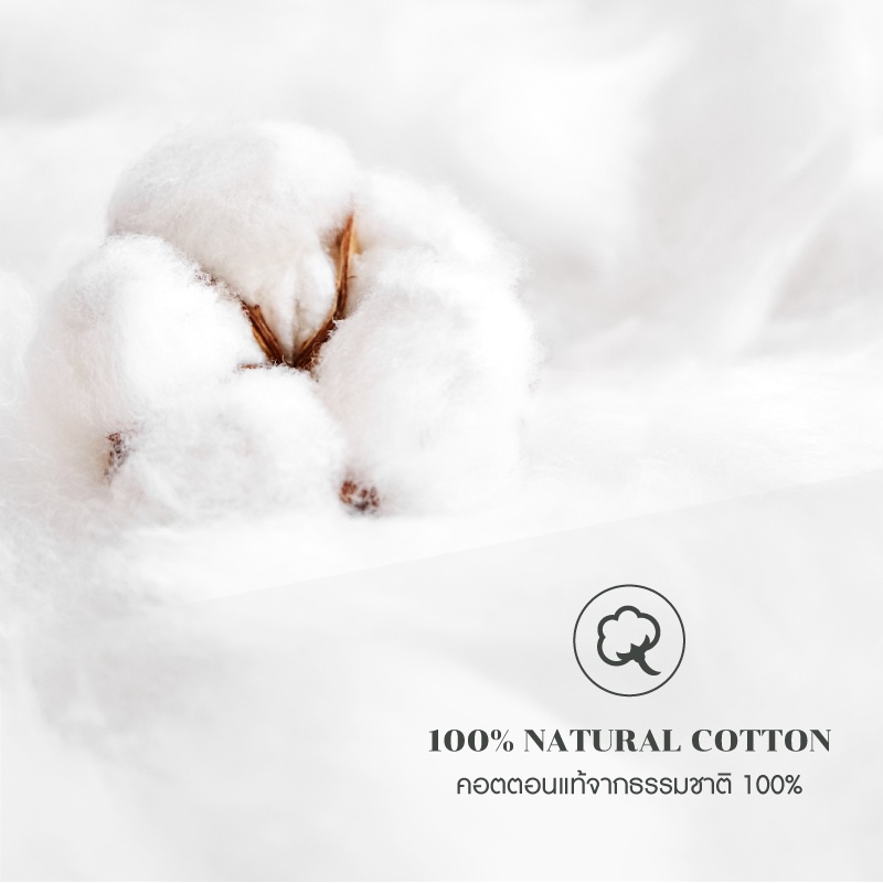 Darling Mattress ที่นอนดาร์ลิ่ง ปลอกหมอนหนุน,หมอนข้าง,ปลอกหมอนบอดี้,คอตตอนซาติน100% (1ใบ) - รูปที่ 6