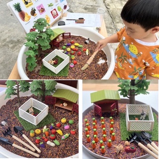 Fruit &amp; Vegetable Sensory play โมเดลผักผลไม้