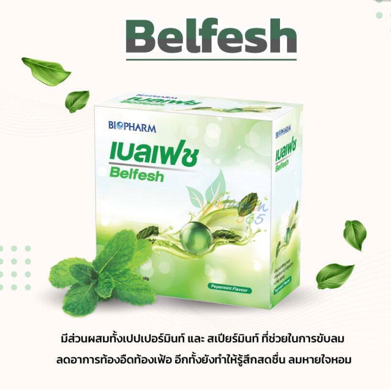 (กล่อง10แผง) Belfesh เบลเฟช ขับลม แผง 10 เม็ด - vitamin365co3 - ThaiPick