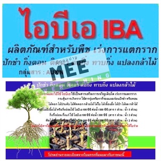 สารเร่งราก IBA ไอบีเอ เร่งราก ปักชำ กิ่งตอน ติดตา ต่อกิ่ง ทาบกิ่ง เบญจมาศ ไม้ดอก ไม้ผล เร่งแตกทันใจ รากเยอะ