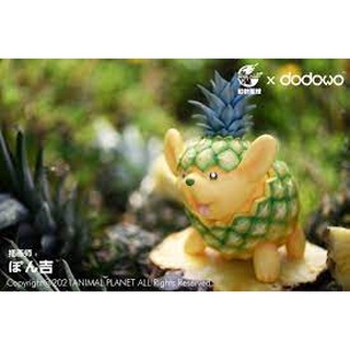 Animal Planet x Blossoming Nest Fruit Elf Series Pineapple Dog