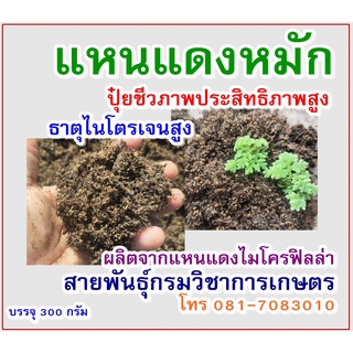 ปุ๋ยหมักแหนแดง แหนแดงหมัก (ปุ๋ยชีวภาพธาตุไนโตรเจนสูง)