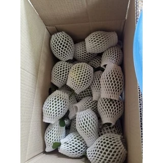 📣ส้มซ่า คัดไซส์ ผลเขียวๆ แถมทุกออเดอร์(ลูกแถมไม่ห่อโฟม) ผิวสวย เก็บสดใหม่จากต้น (ประมาณ 8 ลูก/โล สั่งขั้นต่ำ 2 โลครับ)​
