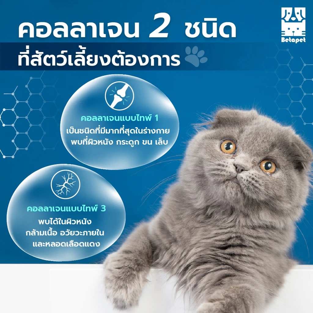 BETAPET อาหารเสริมคอลลาเจน 100% สำหรับสุนัขและแมว บำรุงขนและผิวหนัง เพิ่มความชุ่มชื้น ลดผิวหนังหลุดลอกเป็นขุย thumbnail 5