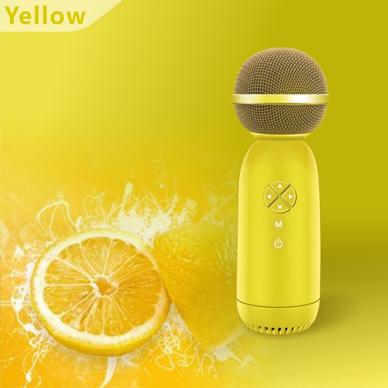 B2022 Karaoke Microphone Portable Wireless Home Singing Machine