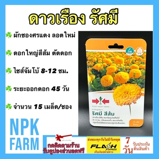 ผักซอง ศรแดง ดาวเรือง รัศมี สีส้ม จำนวน 15 เมล็ด/ซอง เมล็ดพันธุ์ ลอตใหม่ ตัดดอก กลีบแน่น ดอกใหญ่ ไซส์จัมโบ้ 12 ซม.