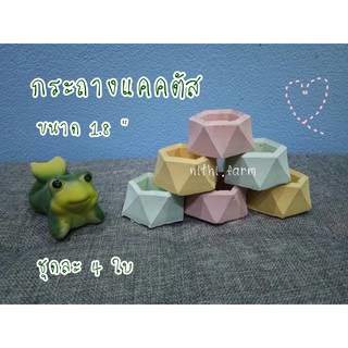 กระถางแคคตัส คละสีพลาสเทล4ใบขนาด1.8นิ้ว