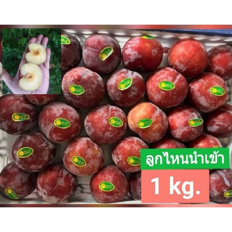 ลูกไหน(ลูกพลัม)สดๆ ‼️ไหนดำ,ไหนแดงทางร้านจัดส่งตามล๊อตเข้าใหม่‼️ มาแล้วค่ะ.นำเข้า100%  ✔✔ 1 กิโล มีประมาน8-12 ลูก คละไซร์
