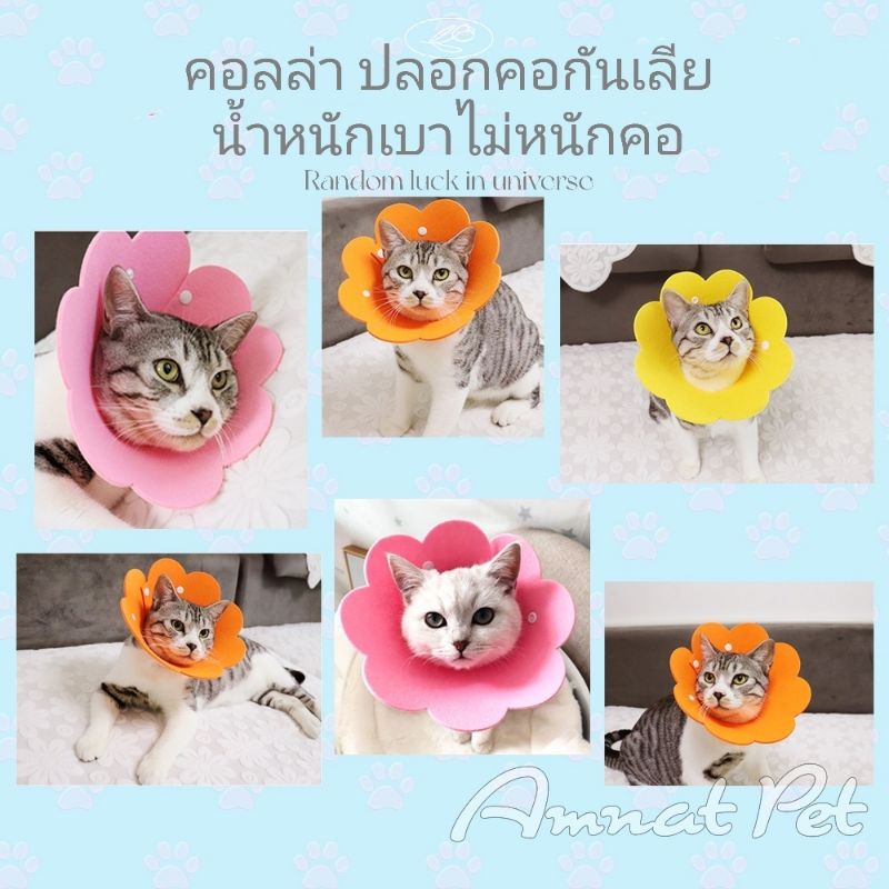 Collar​ คอลล่าดอกไม้​ คอลล่าแมว​ คอลล่าหมา​ สุนัข ลำโพงแมว​ ปลอกคอกันเลีย​