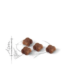Royal Canin Mother and Babycat 2kg and 1.2kg อาหารลูกแมว และแม่แมว baby cat 2 kg และ 1.2kg.