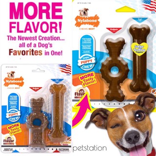 Nylabone Gentle / Power Chew ของเล่นขัดฟัน