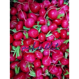 Red radish​ ผลเรดแรดิช หัวไชเท้าแดง 500g&amp;1000g