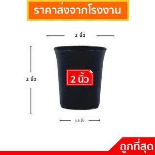 กระถางต้นไม้พลาสติก กระถางพลาสติก กระถางปลูกต้นไม้ กระถางปากแตร 2 นิ้ว สีดำ  100 ใบ