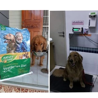 Natland Natureland อาหารสุนัข สูตรลดน้ำหนักสุนัข ควบคุมน้ำหนักสุนัข Control Weight สำหรับสุนัขอ้วน ทำหมัน 10 KG