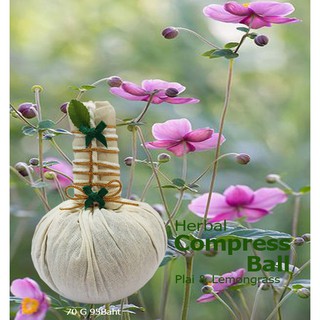 ลูกประคบสมุนไพร ภูต้นน้ำ  Herbal Compress Ball 150 g