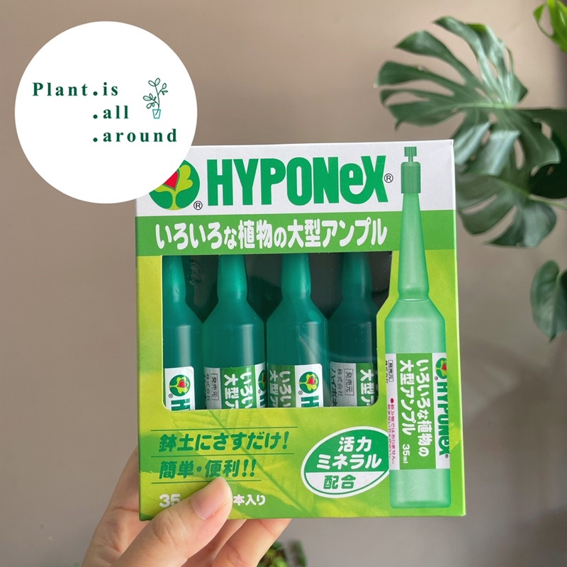 🥦ปุ๋ยปัก Hyponex Ampoule สีเขียวเข้ม