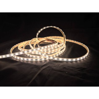 ไฟเส้น,ไฟริบบิ้น LED strip light essense 2835 24V 4.8W