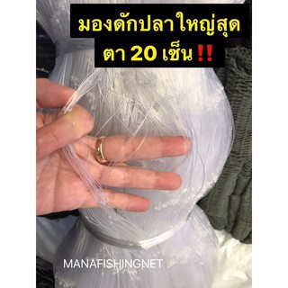 ข่ายดักปลาใหญ่สุด ตา 20 เซ็น ลึก 6 เมตร ป้าย 180 เมตร