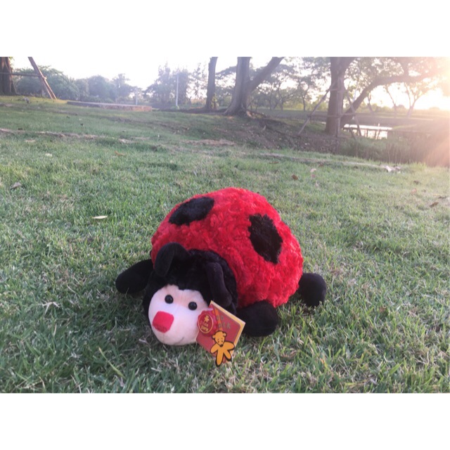 ตุ๊กตาเต่าทอง Ladybug