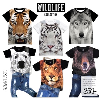 Last chance!!! Sale 150.- เสื้อยืดเด็ก Wildlife (เสือ หมี อูฐ แรด หมี)