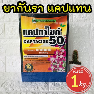 ยากันราแคปแทน (Captan - Captacide 50) ราในกระบองเพชร ขนาด 1 กิโล