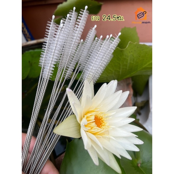ยาว24.5ซม แปรงล้างหลอด แปรงล้างสายยาง จุกนม หลอดสแตนหลอด หลอดแก้วเก็บความเย็น แก้วหัดดื่ม ขวดน้ำ ล้างซอกเล็กๆ