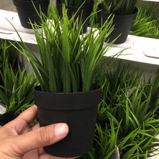 ต้นหญ้าเทียม 20 cm. ซม. IKEA