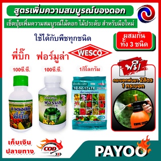 เช็ตปุ๋ยเร่งความสมบูรณ์ พี่บิ๊ก100มล.(ฮอร์โมน)+WESCO (10-52-17)1กก.+ฟอร์มูล่า100มล.(สารจับใบ)+กระบอกพ่น2ลิตร/สีส้ม