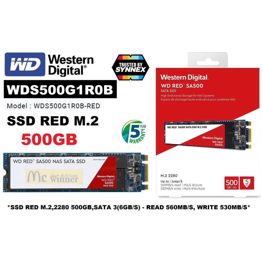 500GB SDD (เอสเอสดีแนส) WD RED SA500 M.2,2280,SATAIII(6GB/S) (WDS500G1R0B-RED)- ประกัน 5 ปี Synnex