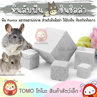 ร้านโทโมะ 💕 หินลับฟัน หิน pumice สำหรับชินชิลล่า หลากหลายขนาด