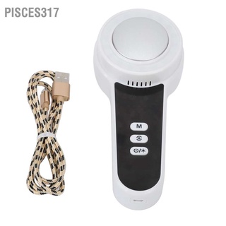 Pisces317 เครื่องนวดหน้าร้อนเย็น ไฟ Led ทําความร้อน ระบายความร้อน สั่นสะเทือน อุปกรณ์ความงาม ปรับได้