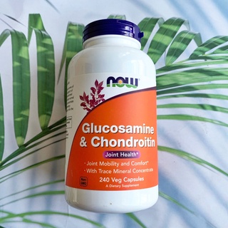 กลูโคซามีน คอนดรอยติน Now® Glucosamine &amp; Chondroitin 240 Capsules ดูแล บำรุง ลดอาการปวดบริเวณข้อเข่า และข้อต่อต่างๆ