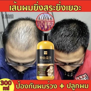 แชมพูขิง แชมพูลดร่วงของผม ซื้อ2แถม1