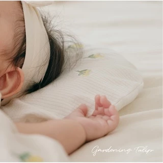 ปลอกหมอนหัวทุย OXY Baby รุ่น Korean Cotton